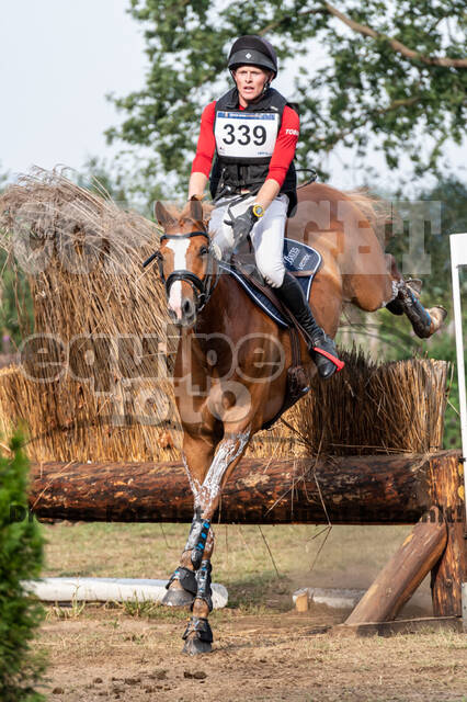 De Peelbergen (August 2020)