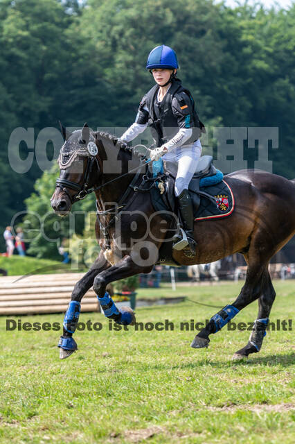 Goldene Schärpe 2021 - Ponys