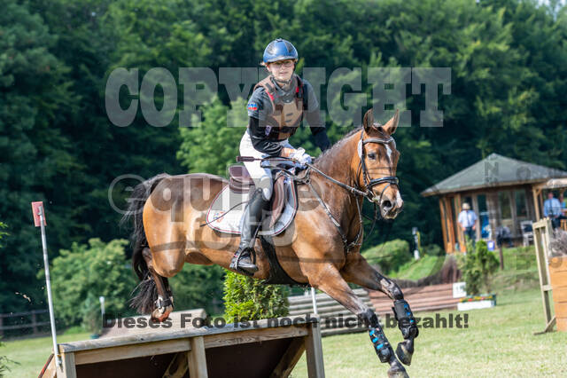 Goldene Schärpe 2021 - Ponys