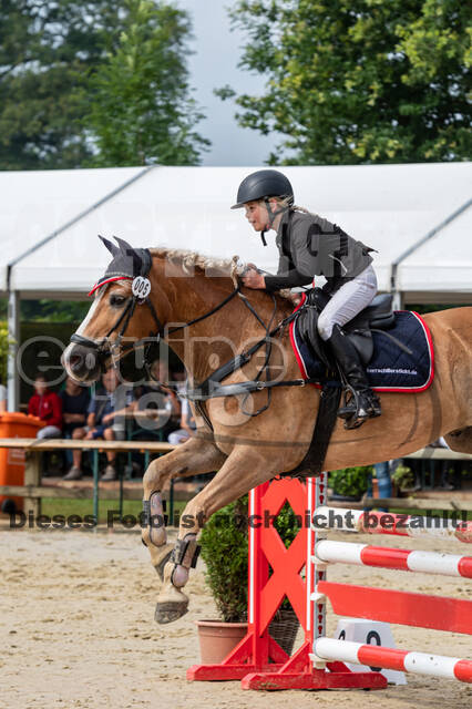 Goldene Schärpe 2021 - Ponys