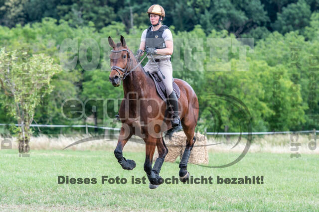 Bonn-Rodderberg Late-Entry-Vielseitigkeit (30.06.2020)