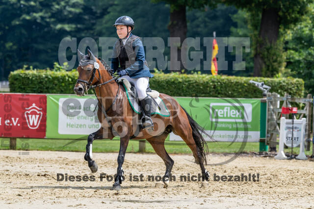 Goldene Schärpe 2021 - Ponys