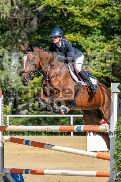 RFV Dinslaken-Hiesfeld (Herbstturnier)