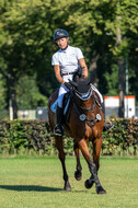 Kronenberg - De Peelbergen (August 2020)