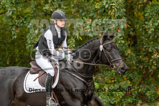 Goldene Schärpe 2020 - Pferde