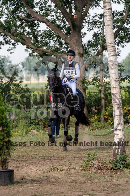 De Peelbergen (August 2020)