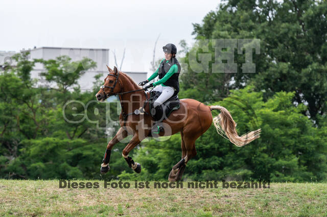 Late-Entry-Vielseitigkeit Langenfeld (11.+13./14.06.2020)