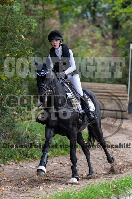 Reiter Schleswig-Holstein