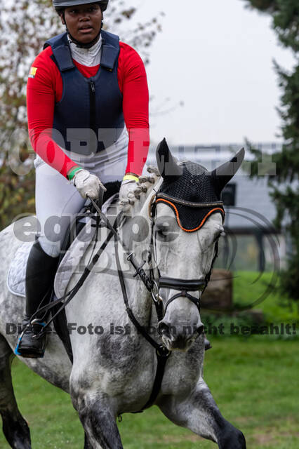 Goldene Schärpe 2020 - Pferde