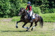 Goldene Schärpe 2021 - Ponys