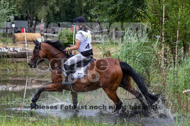 Late-Entry Vielseitigkeit Hamminkeln/Wesel (01.+02.08.2020)