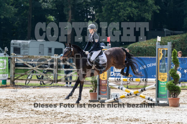 Goldene Schärpe 2021 - Ponys