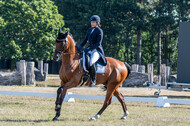 Kronenberg - De Peelbergen (August 2020)