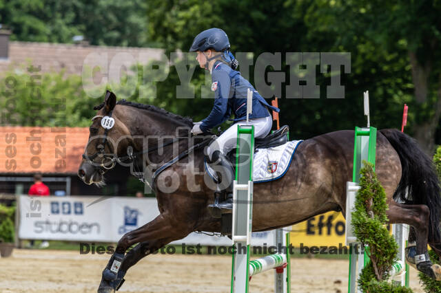 Goldene Schärpe 2021 - Ponys