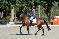 Kronenberg - De Peelbergen (August 2020)