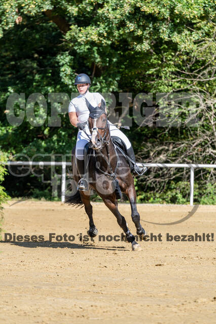 RFV Dinslaken-Hiesfeld (Herbstturnier)