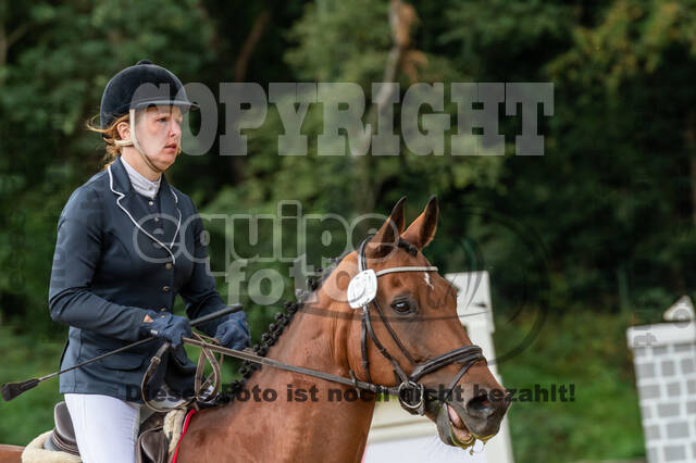 Vielseitigkeit RSV Wesel Obrighoven (26.+27.09.2020)