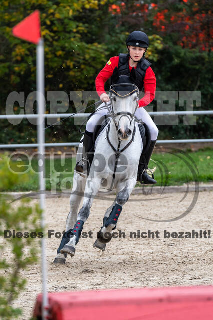 Goldene Schärpe 2020 - Pferde