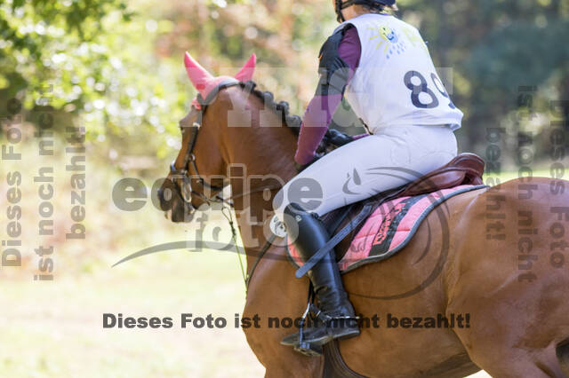Vielseitigkeitsturnier RSV St. Hubertus Wesel Obrighoven