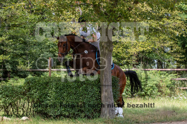 Late-Entry-Vielseitigkeit Gahlen (18.07.2020)