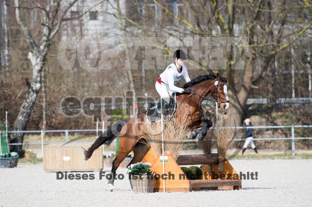 Eventing Langenfeld 2018