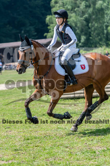 Goldene Schärpe 2021 - Ponys