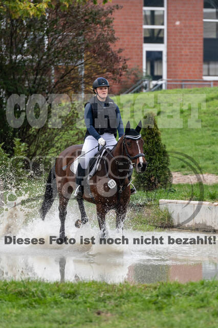 Goldene Schärpe 2020 - Pferde