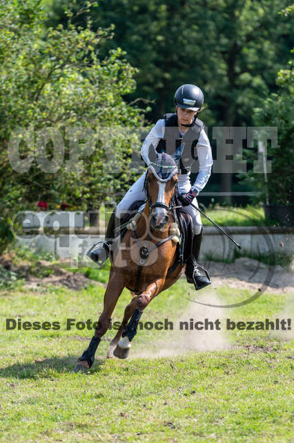 Goldene Schärpe 2021 - Ponys