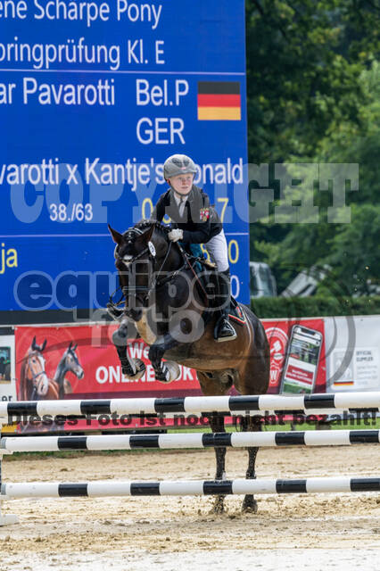 Goldene Schärpe 2021 - Ponys
