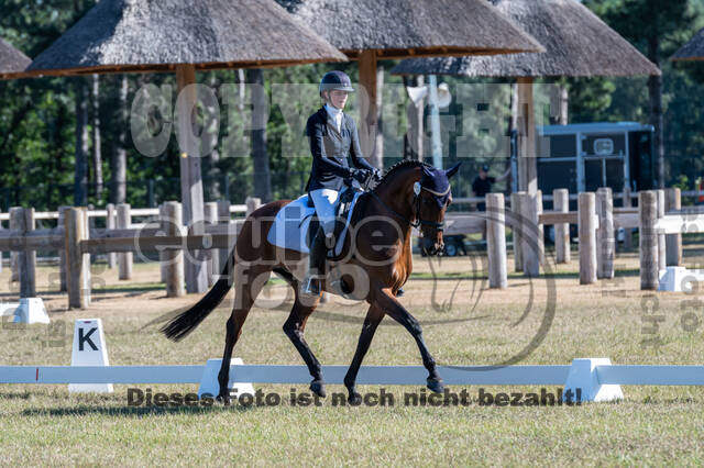 Kronenberg - De Peelbergen (August 2020)