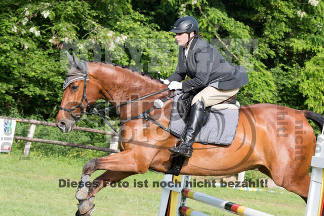 Vielseitigkeitsturnier ZRuFV von Lützow Hamminkeln