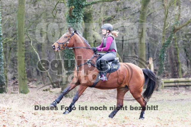 Geländetraining RSV St. Hubertus Wesel Obrighoven (10.+11.03.2018)