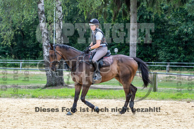 Hunter Geländetraining 10.07.2021 (Sonsbeck)