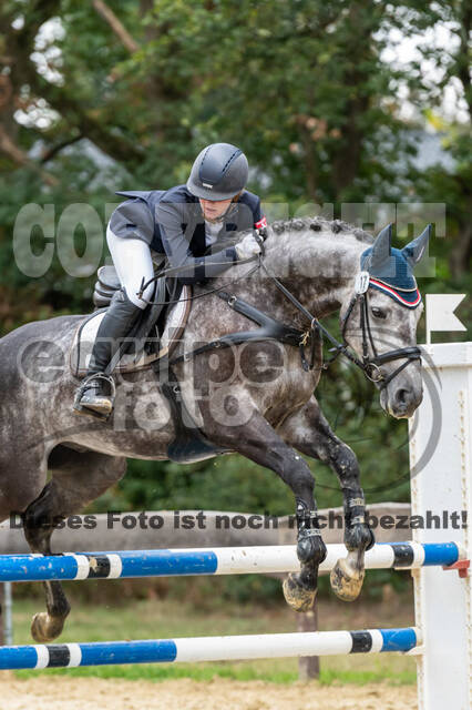 Vielseitigkeit RSV Wesel Obrighoven (26.+27.09.2020)