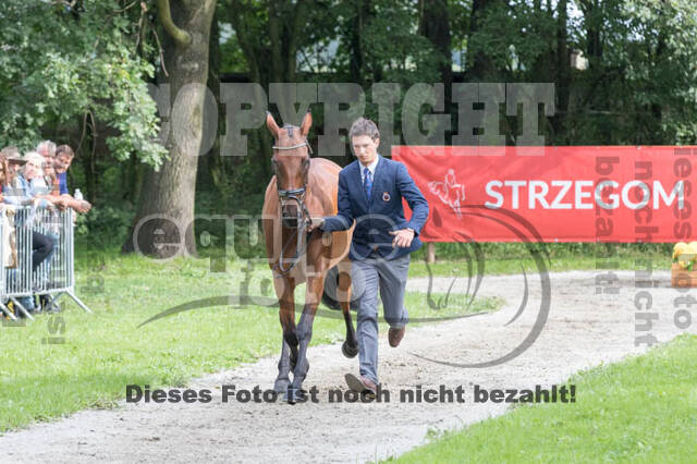 FEI European Championship Eventing 2017