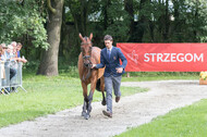 FEI European Championship Eventing 2017