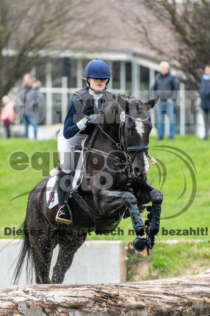 Goldene Schärpe 2020 - Pferde