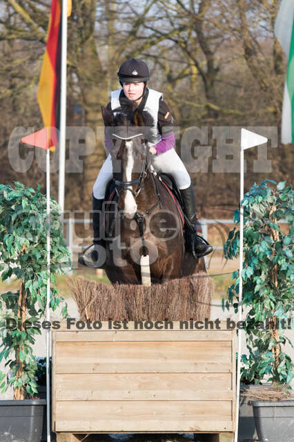 Eventing Langenfeld 2018