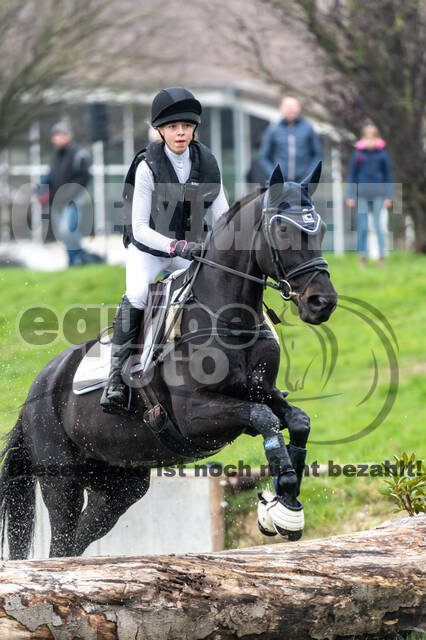 Goldene Schärpe 2020 - Pferde