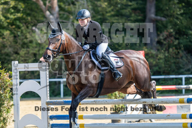 RFV Dinslaken-Hiesfeld (Herbstturnier)