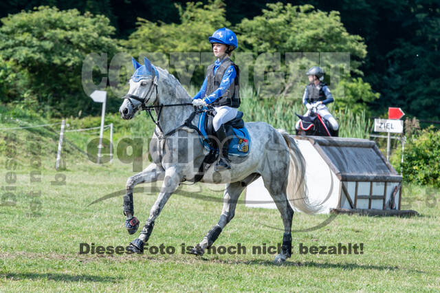 Goldene Schärpe 2021 - Ponys