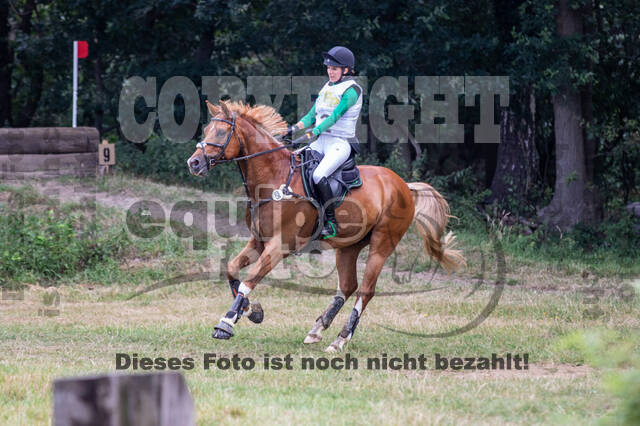 Late-Entry Vielseitigkeit Hamminkeln/Wesel (01.+02.08.2020)