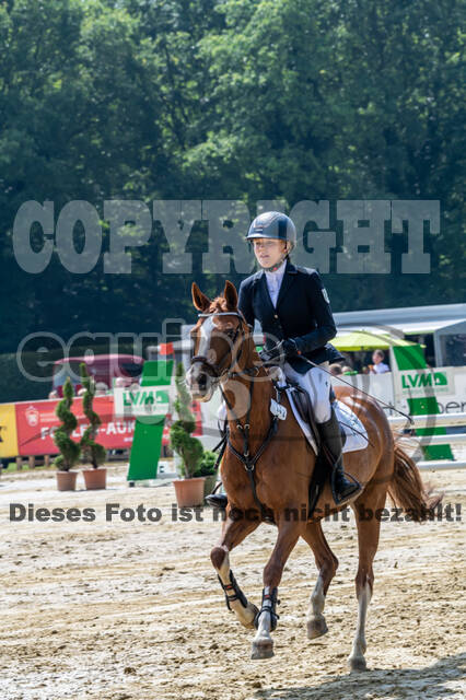 Goldene Schärpe 2021 - Ponys