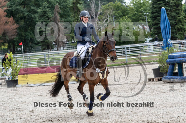 Late-Entry-Vielseitigkeit Langenfeld (06.+07.07.2020)