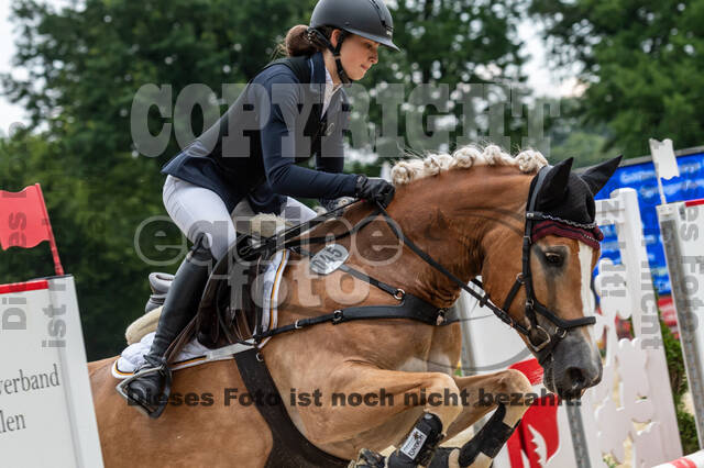 Goldene Schärpe 2021 - Ponys