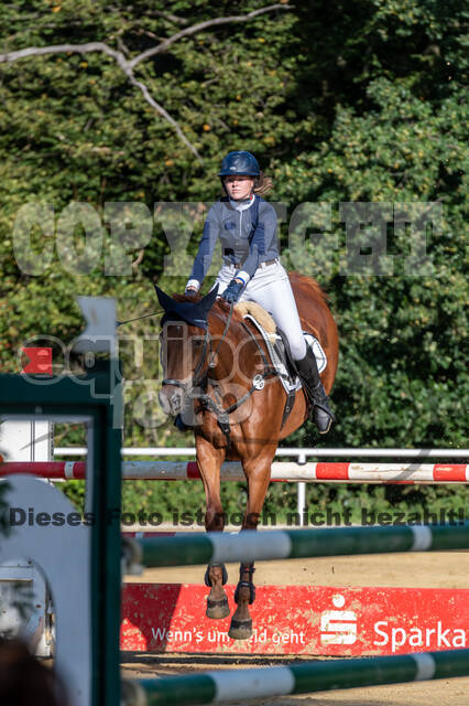 RFV Dinslaken-Hiesfeld (Herbstturnier)