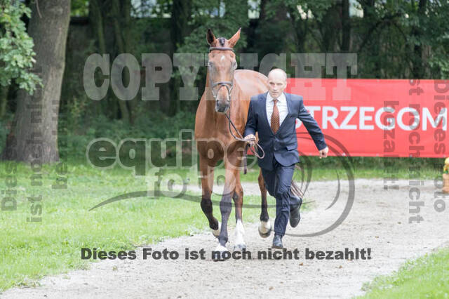 FEI European Championship Eventing 2017