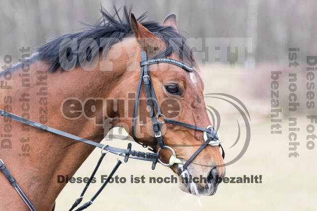 Geländetraining RSV Wesel Obrighoven