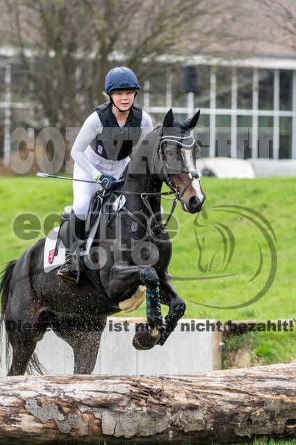 Goldene Schärpe 2020 - Pferde