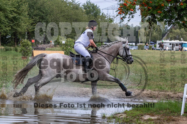 Late-Entry-Vielseitigkeit Gahlen (18.07.2020)